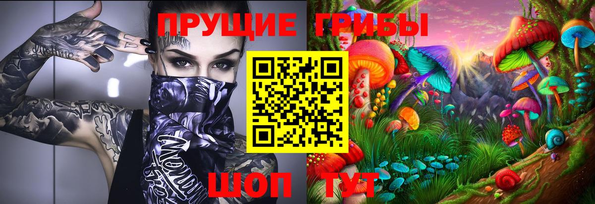 сколько стоит  Вход с VPN  Коркино  Галлюциногенные грибы ЛСД  Псилоцибиновые грибы GOLDEN TEACHER 