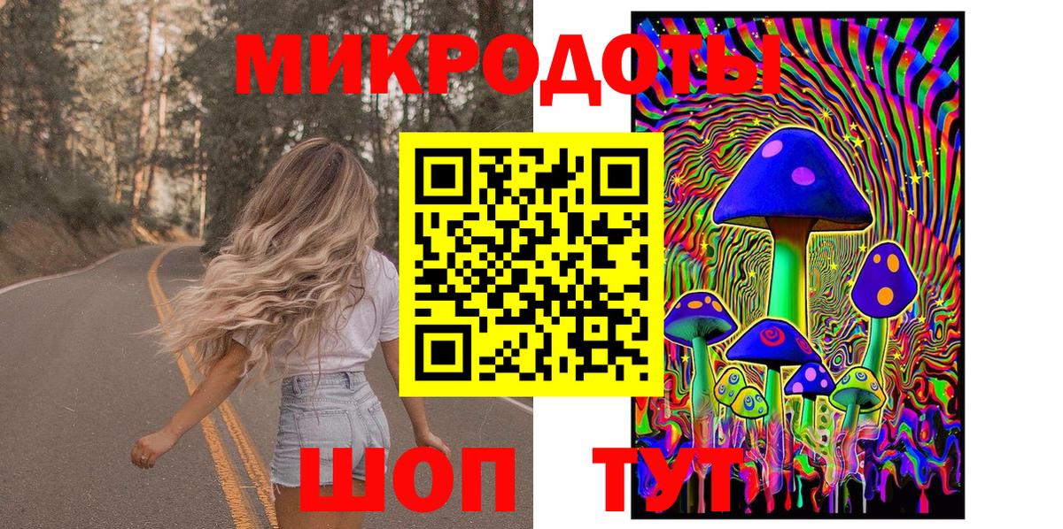 Галлюциногенные грибы Cubensis Коркино